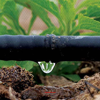 Dripper Line Supplier Pretoria