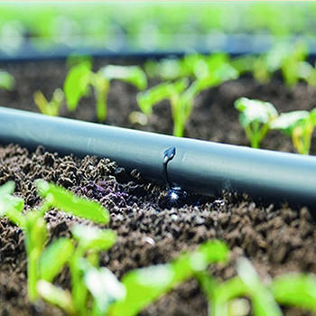 Dripper Lines Supplier Pretoria