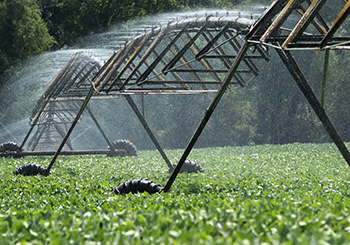 irrigation-system-supplier-pretoria